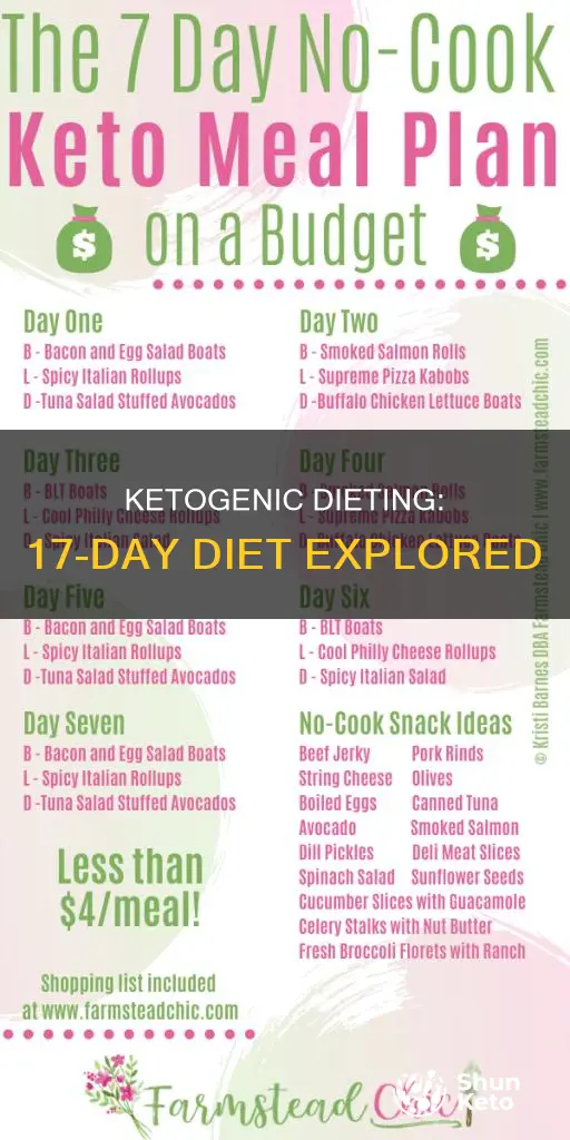 is the 17 day diet ketogenic