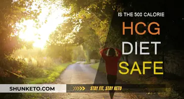 HCG Diet: Is 500 Calorie Intake Safe?