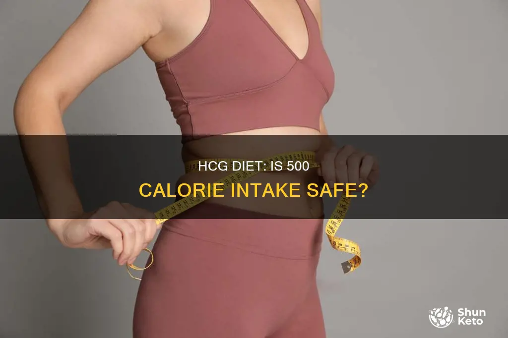 is the 500 calorie hcg diet safe