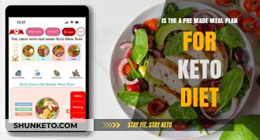 Discover Pre-Made Keto Meal Plans for Effortless Diet Success
