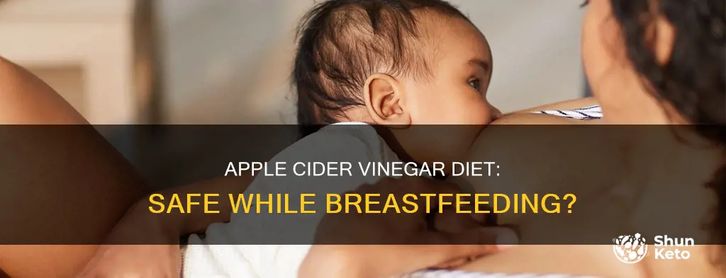 is the apple cider vinegar diet safe while breastfeeding