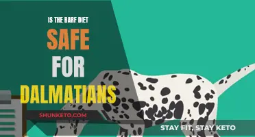 The BARF Diet: Safe Feeding for Dalmatians?
