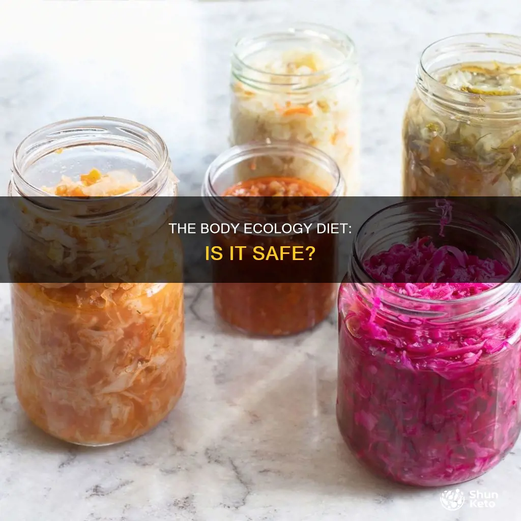 is the body ecology diet safe