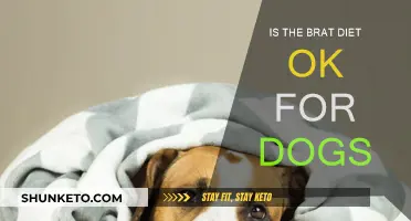 The Dangers of BRAT Diet for Dogs