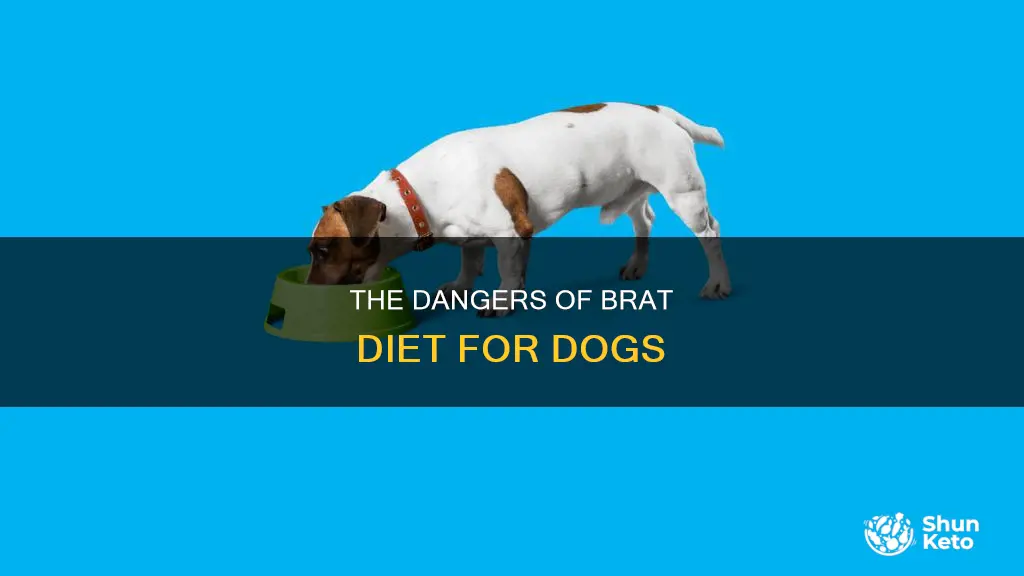 is the brat diet ok for dogs