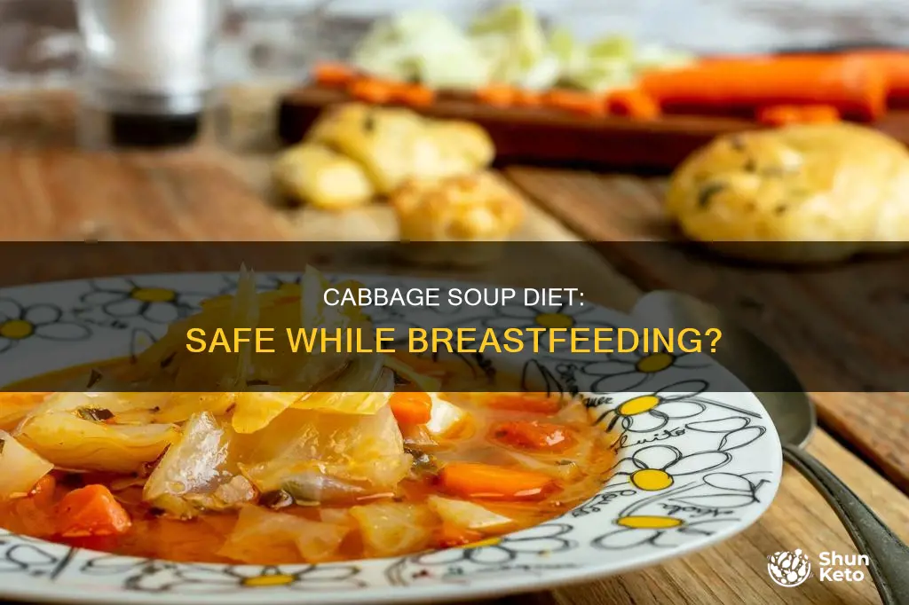 is the cabbage soup diet safe while breastfeeding