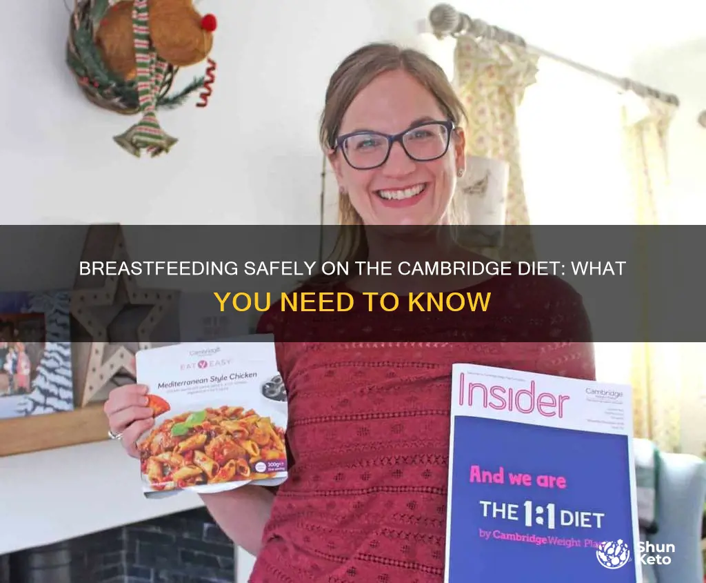is the cambridge diet safe when breastfeeding