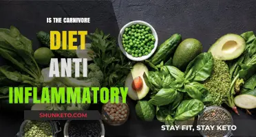 Meat-Based Diet: Anti-Inflammatory or Not?