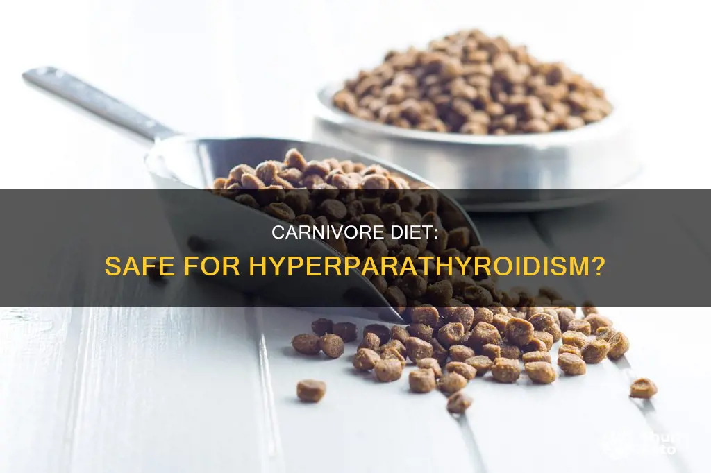 is the carnivore diet safe for hyperparathyroidism