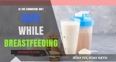 Breastfeeding and Carnivore Diet: Safe or Not?