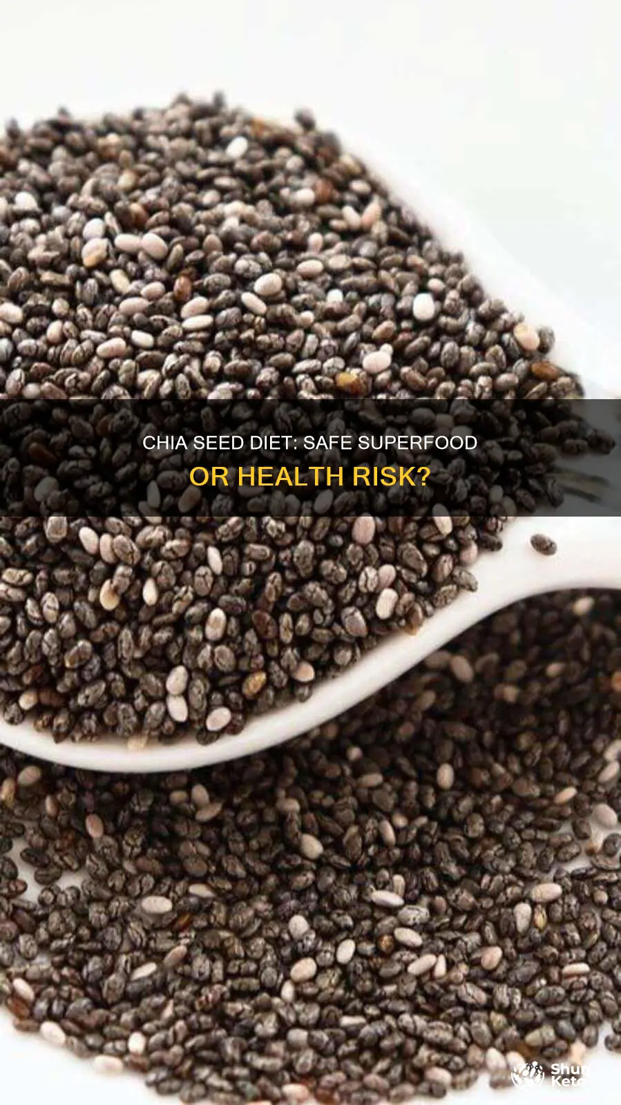 is the chia seed diet safe