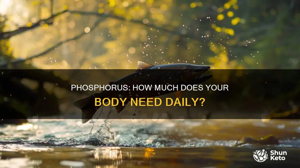 is the daily amt of phosphorus needed in our diet