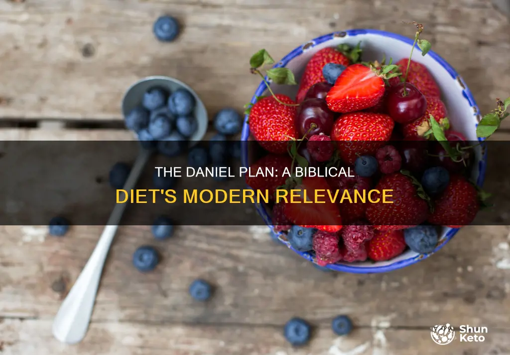 is the daniel plan a sound biblical diet