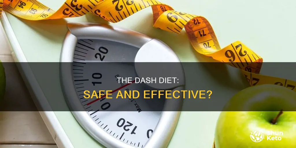 is the dash diet safe