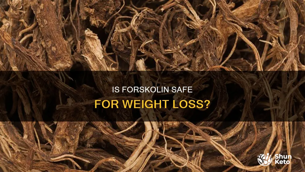 is the diet pill forskolin safe
