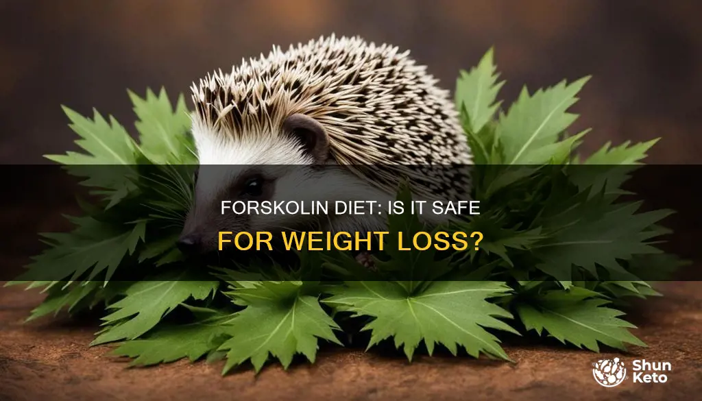 is the forskolin diet safe