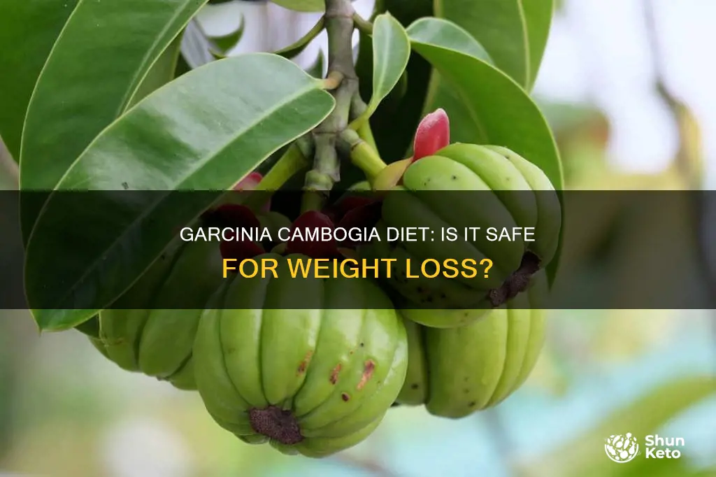 is the garcinia cambogia diet safe