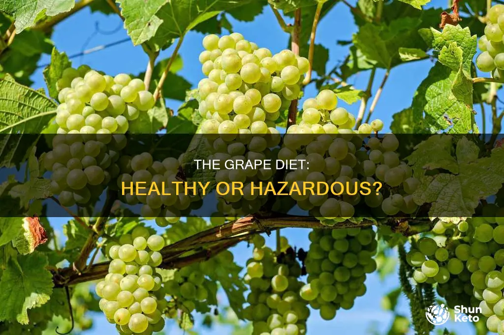 is the grape diet safe