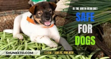 Green Bean Diet: Safe Weight Loss for Dogs?