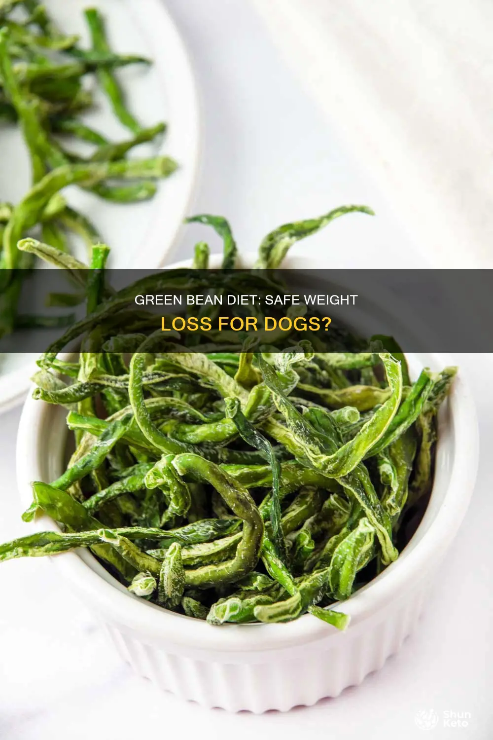 is the green bean diet safe for dogs