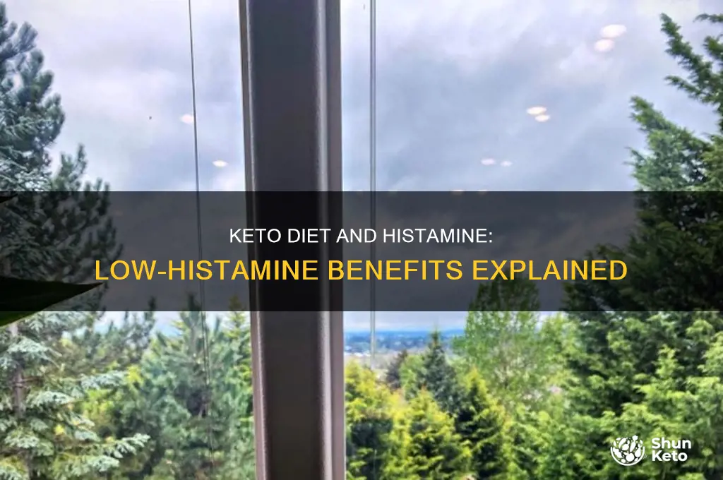is the keto diet a low histamine diet