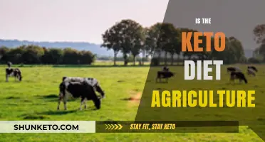 Keto Diet and Agriculture: Exploring the Connection Between Food and Farming