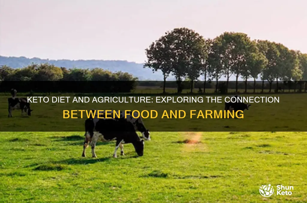 is the keto diet agriculture