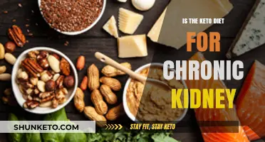 Keto Diet and Chronic Kidney Disease: Benefits, Risks, and Considerations