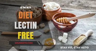 Is the Keto Diet Lectin-Free? Exploring Low-Lectin Keto Options