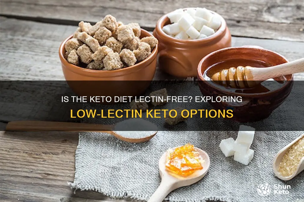 is the keto diet lectin free