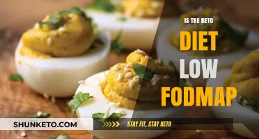 Keto and Low FODMAP: Exploring the Dietary Connection for Gut Health