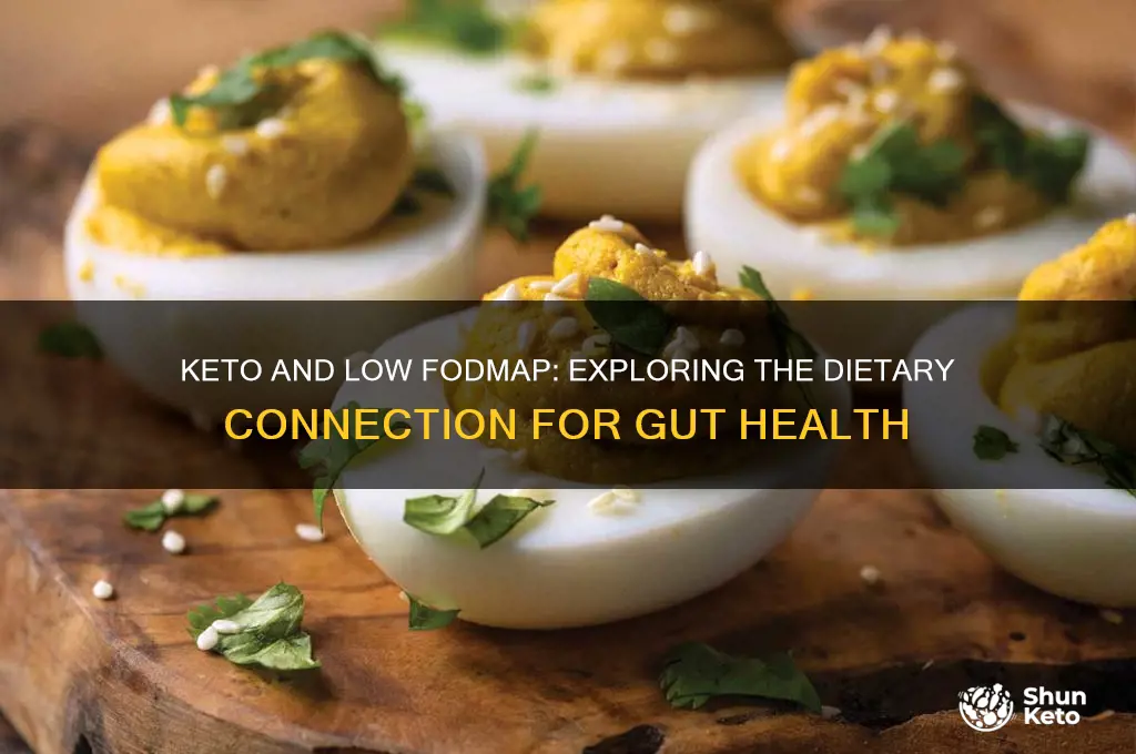is the keto diet low fodmap