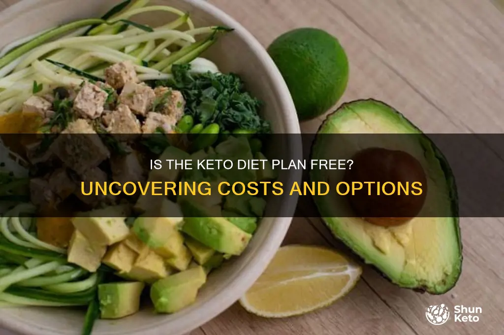 is the keto diet plan free