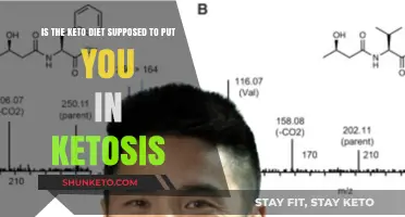 Is Ketosis Essential for Keto? Unraveling the Diet's Core Mechanism