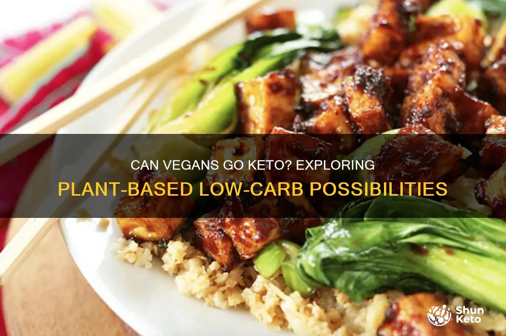 is the keto diet vegan