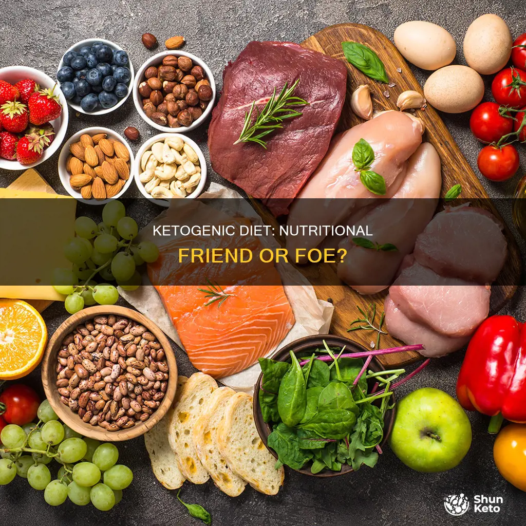 is the ketogenic diet nutritionally sound