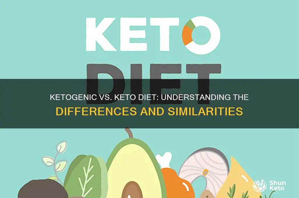 is the ketogenic diet the same as keto diet