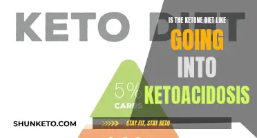Ketone Diet vs. Ketoacidosis: What's the Difference?