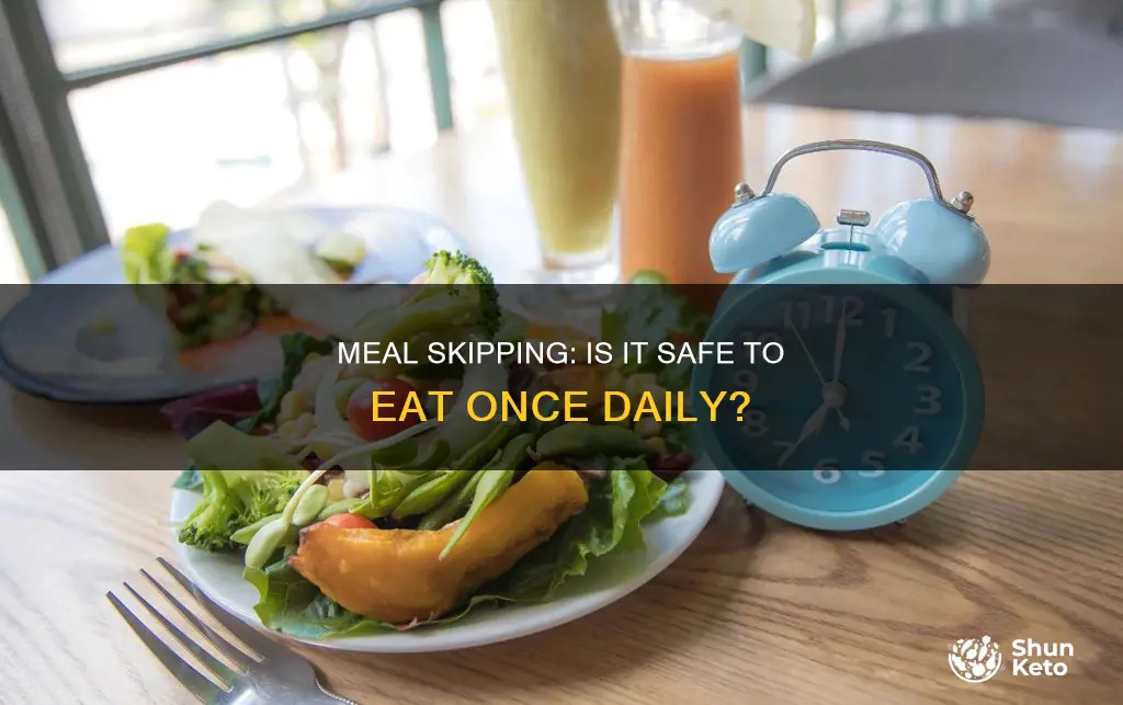 is the one meal a day diet safe