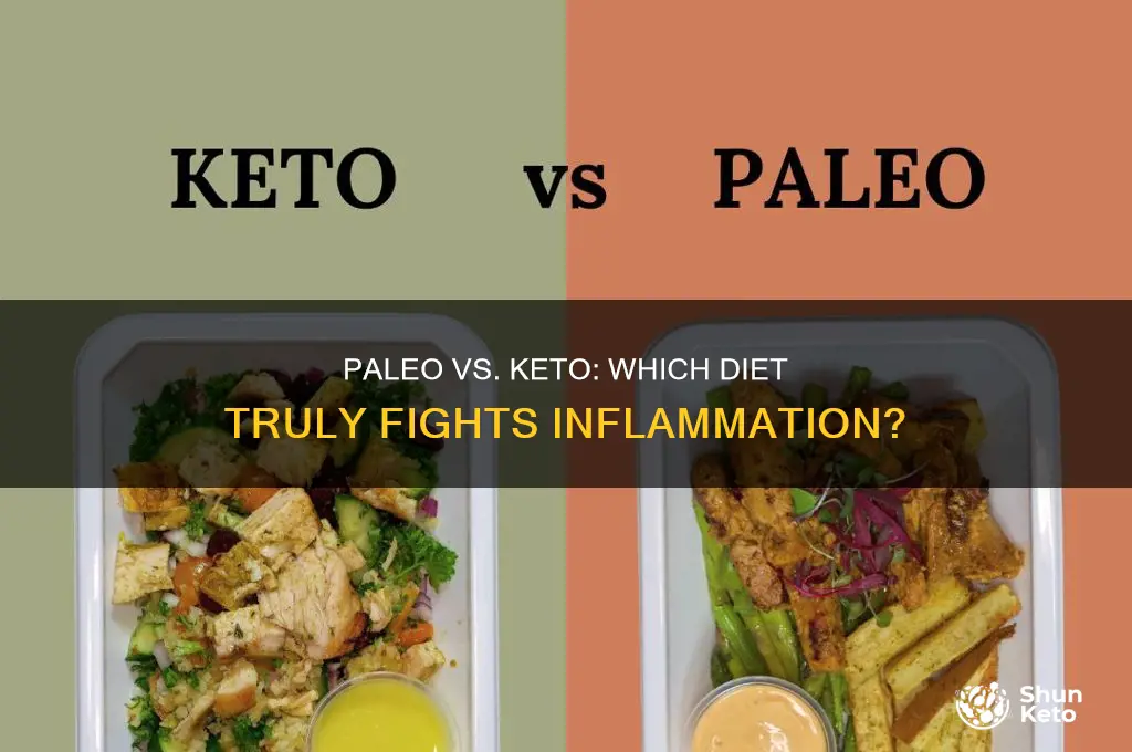 is the paleo and keto diet anti-inflammatory