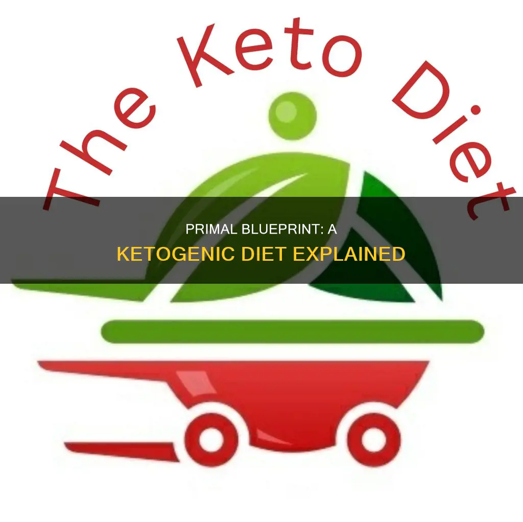 is the primal blueprint a ketogenic diet