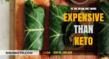 Vegan vs. Keto: Which Diet Costs More to Maintain?