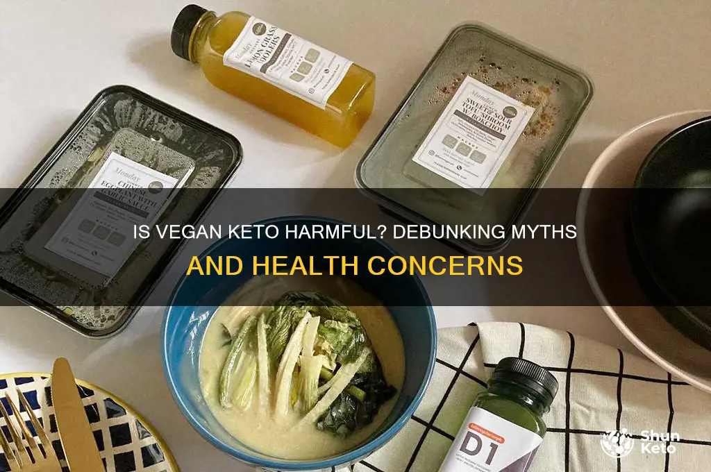 is the vegan keto diet bad