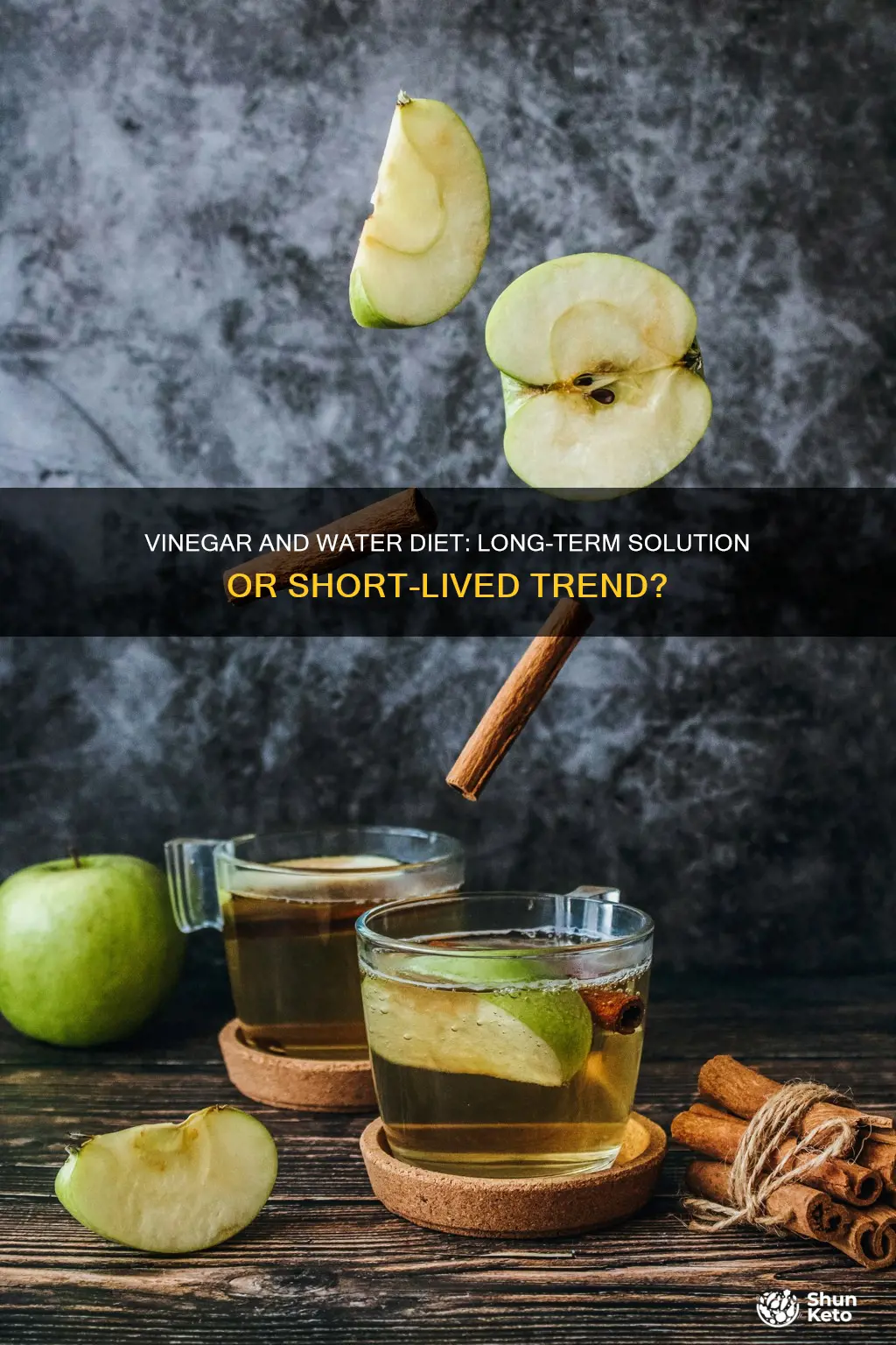 is the vinegar and water diet a long term solution