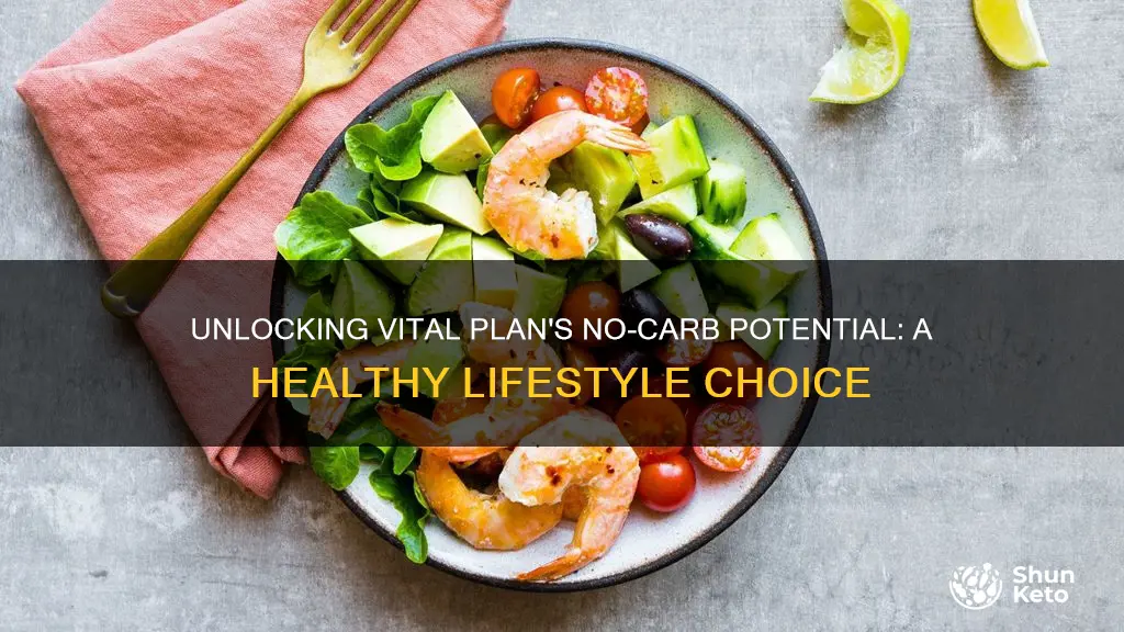 is the vital plan diet no carb