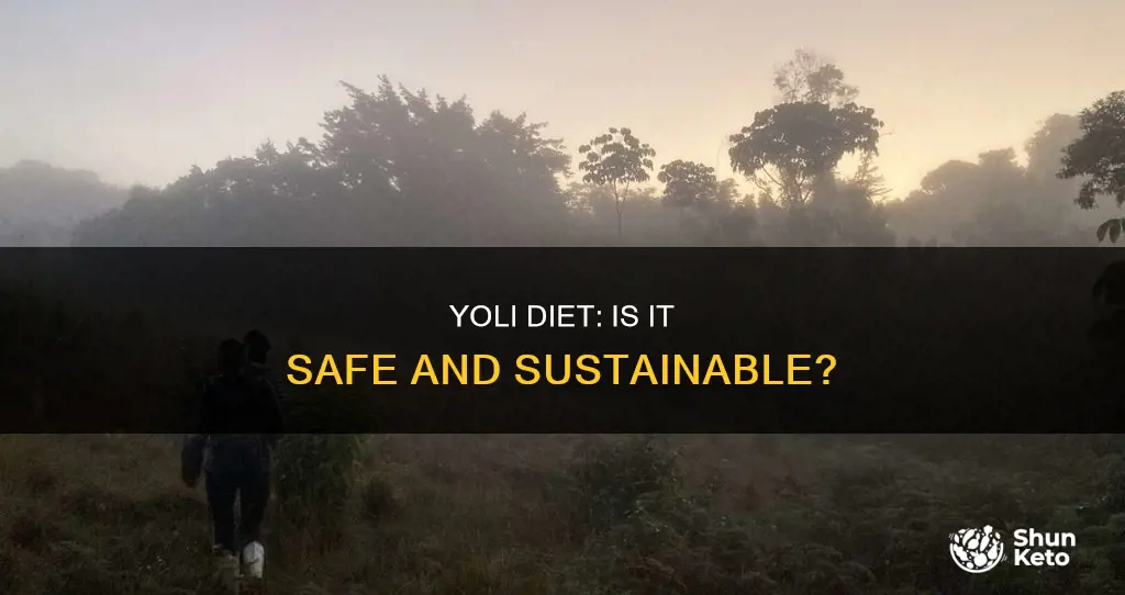 is the yoli diet safe