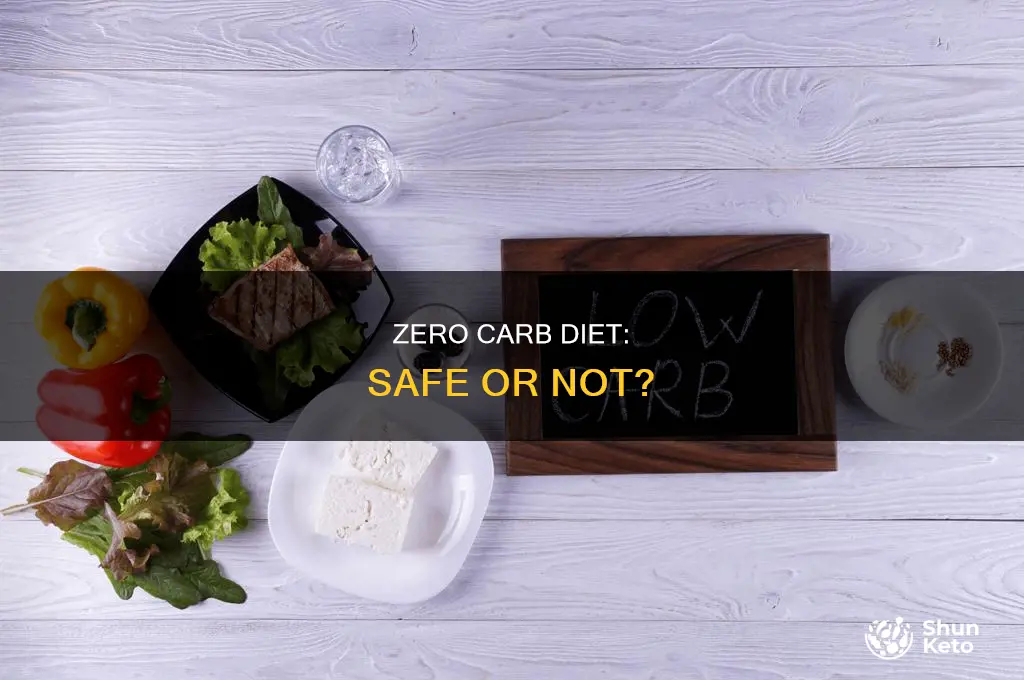 is the zero carb diet safe
