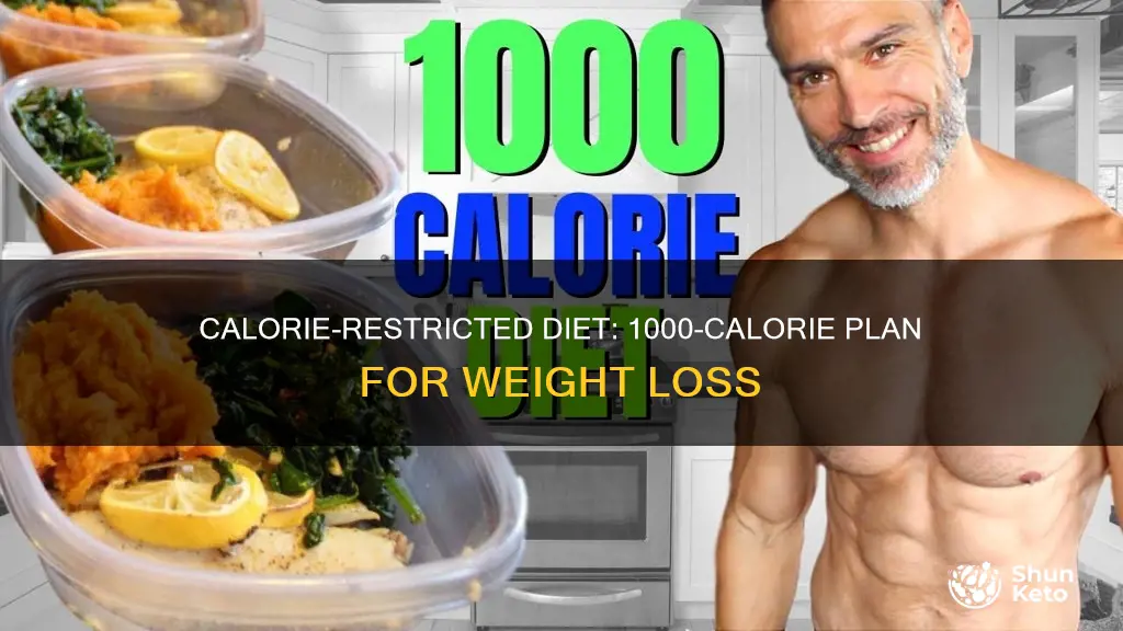 is there a 1000 calorie a day diet plan