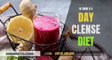 The 3-Day Cleanse: A Quick Detox Diet Plan