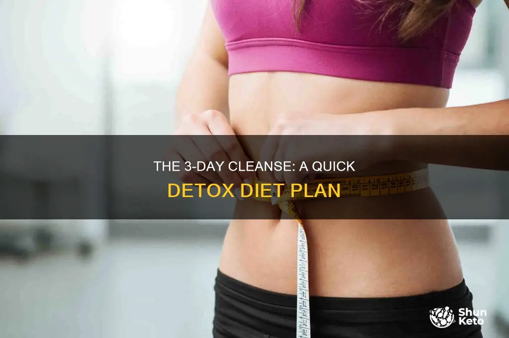 is there a 3 day clense diet
